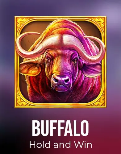 Buffalo Hold and Win